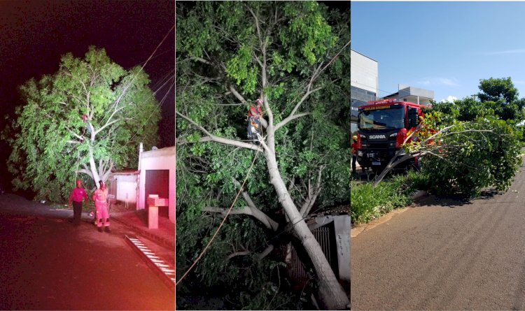 Tempestade no Dia 19 de Fevereiro causou danos